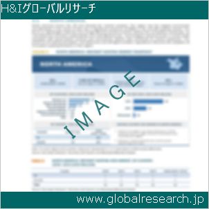 グローバルリサーチ調査レポートのイメージ